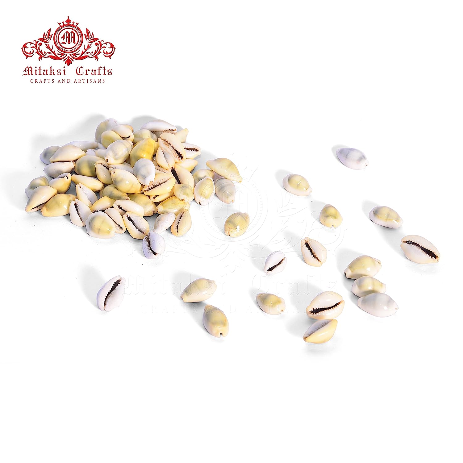 Yellow Cowrie / Kaudi Shells Size – 3 Cms Pack of 50