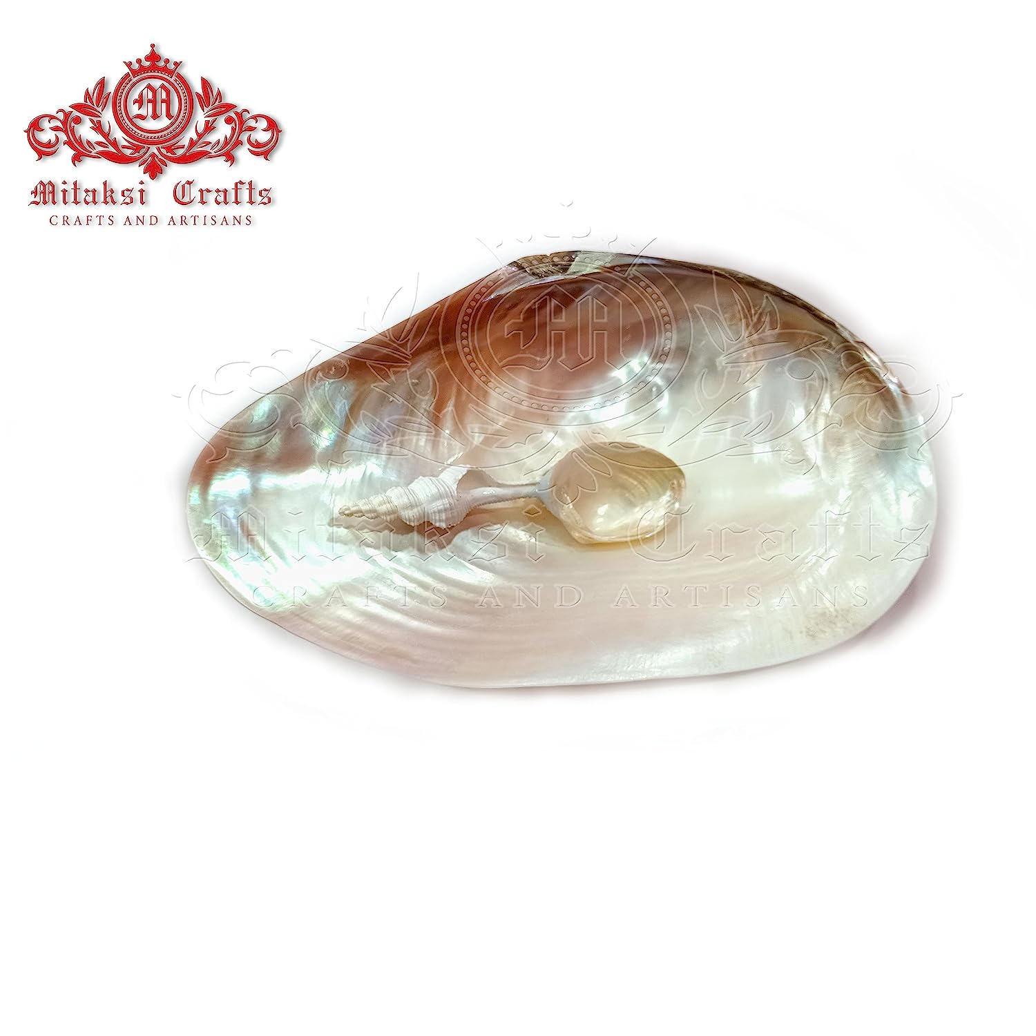 Big Clam Shell / Platter size 23-26 cm