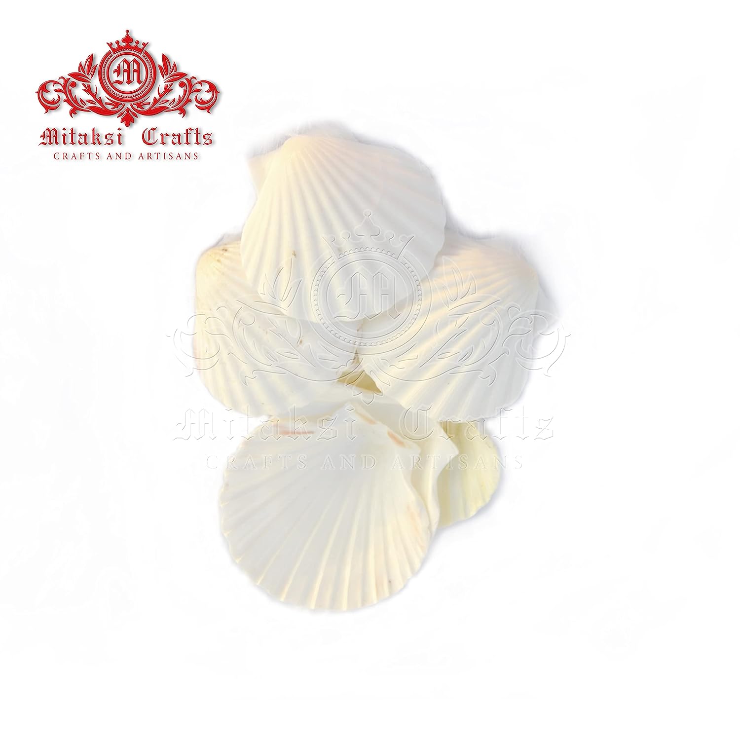 Mitaksi Crafts Large Natural Baking Shells White Scallops, 4 - Inches, White Colour - 6 Shells