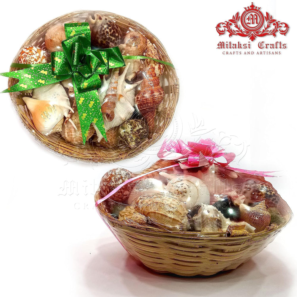 Curated visual reference: Visual Reference: Natural Seashell Mix Aquarium Decoration Seashell Gift Pack