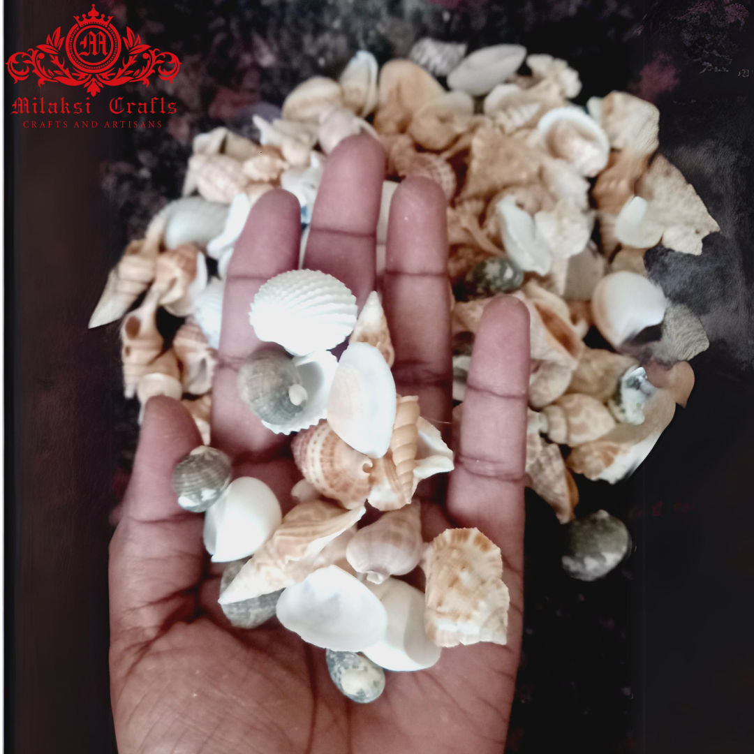 Natural Seashell Mix- small size - Used for Art and Craft- 250g