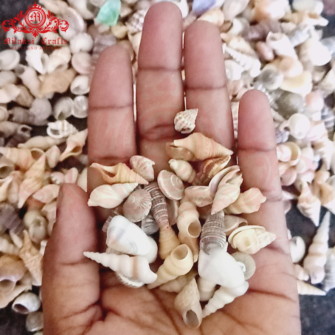 Natural Seashell Mix- size : Tiny(very small) - Used for Art and Craft - 250g