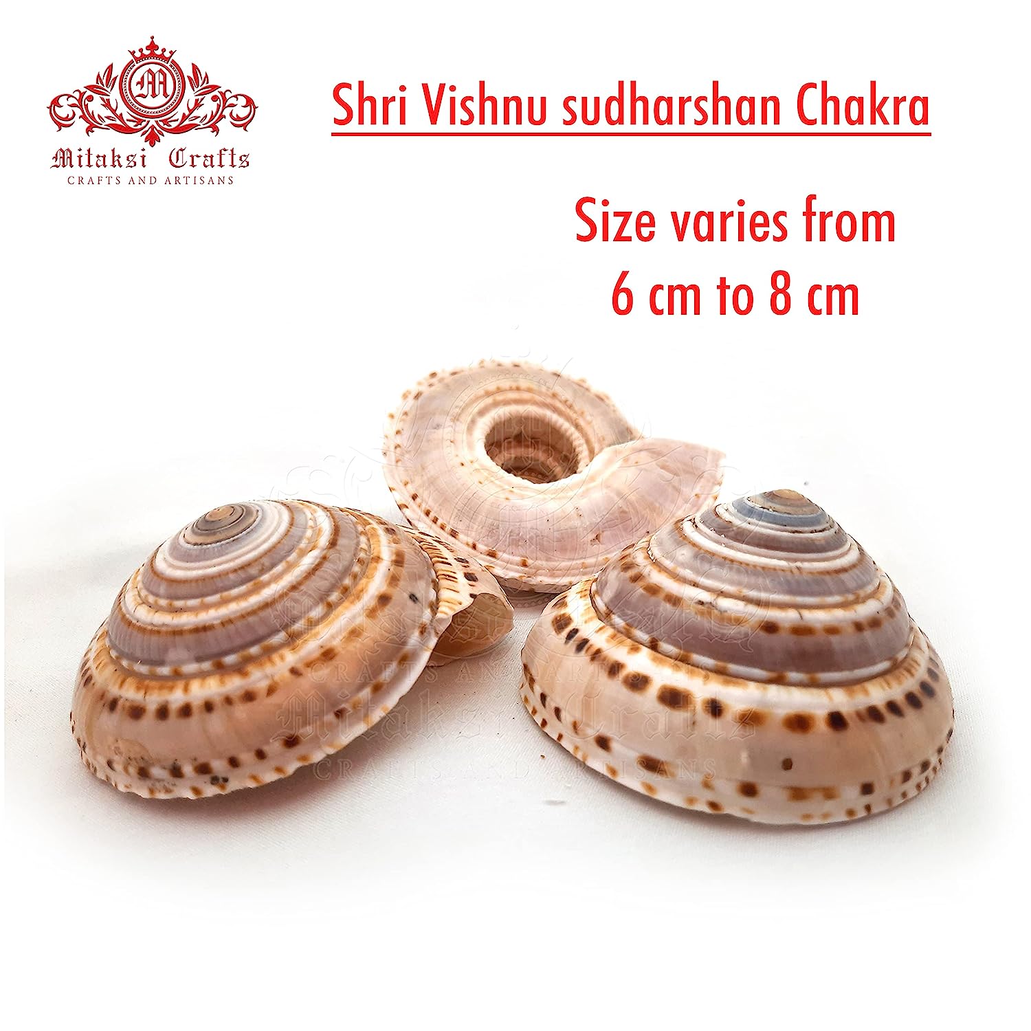 Vishnu Sutharshan Chakra Pack of 5