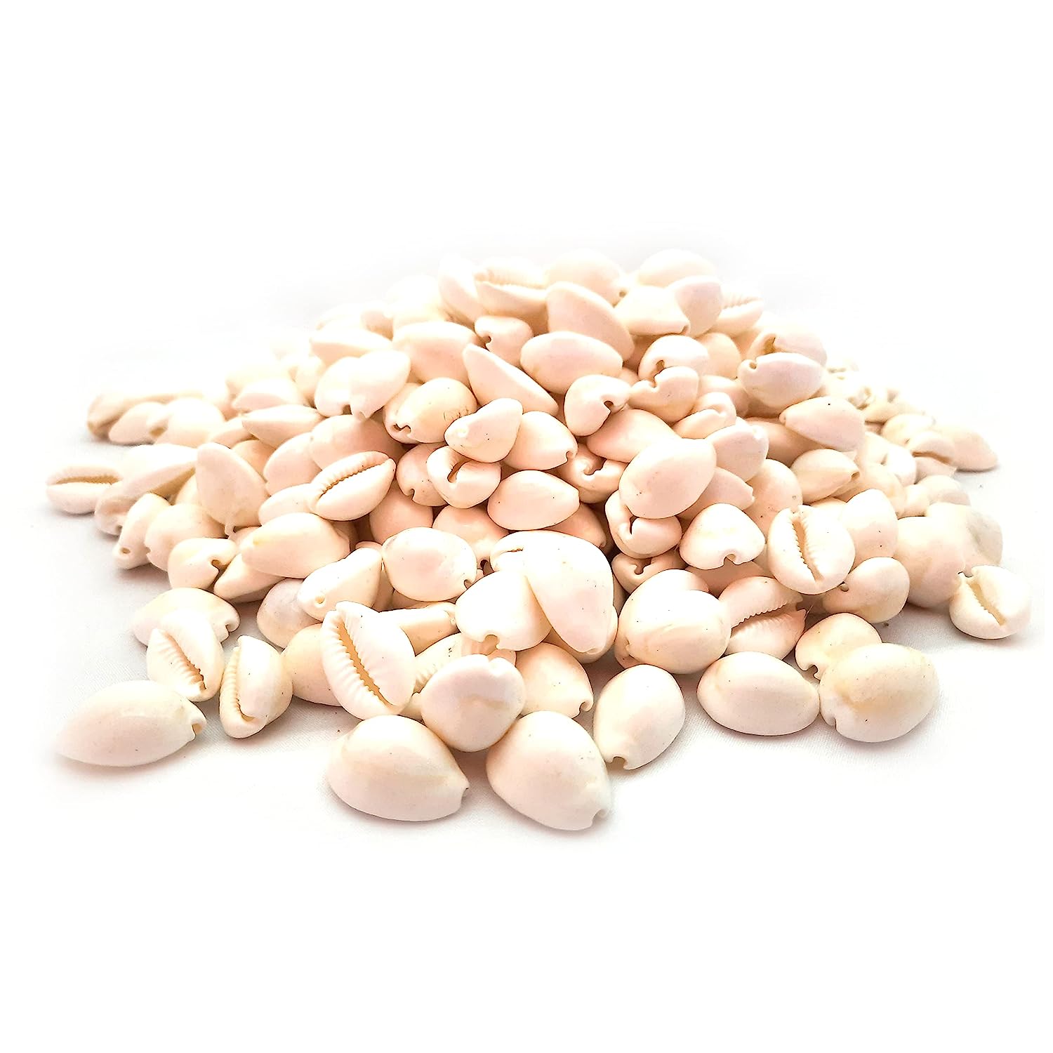 White Cowrie / Kaudi Shells Size – 3 Cms - Pack of 100