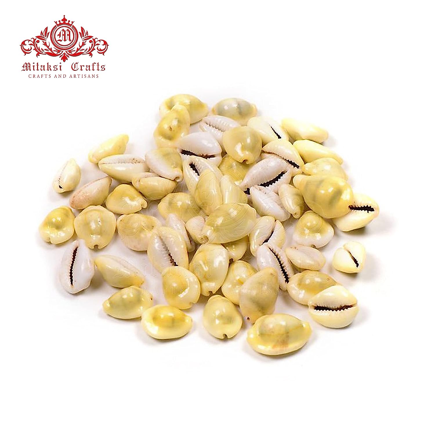 Yellow Cowrie / Kaudi Shells Size – 3 Cms Pack of 50